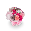 Box růžových květin